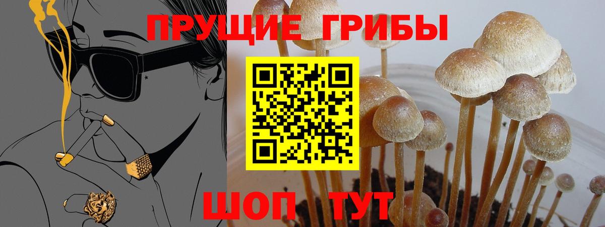 Псилоцибиновые грибы Cubensis Соликамск